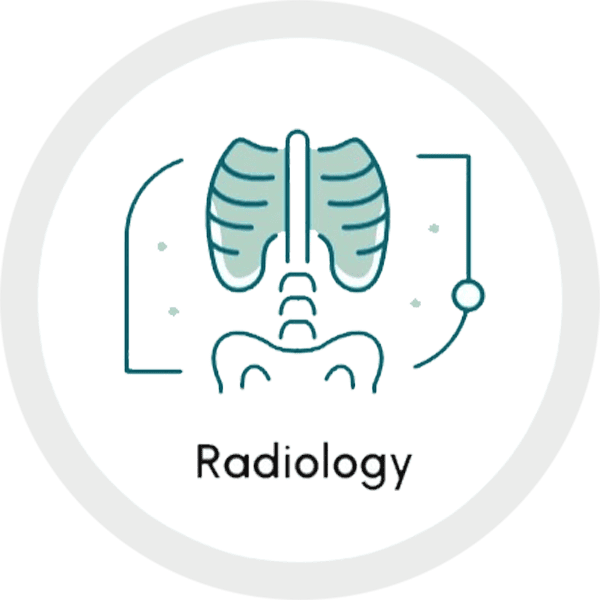 Illustration of lungs and spine representing radiology, used for the SIIM Annual Meeting.